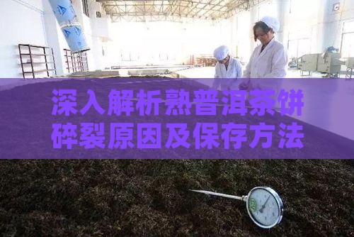 深入解析熟普洱茶饼碎裂原因及保存方法指南