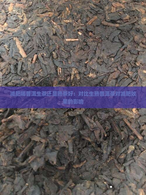 减肥喝普洱生茶还是熟茶好：对比生熟普洱茶对减肥效果的影响