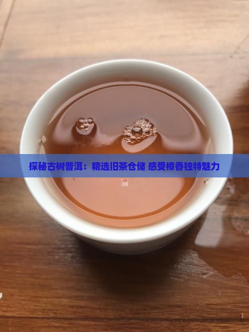 探秘古树普洱：精选旧茶仓储 感受樟香独特魅力