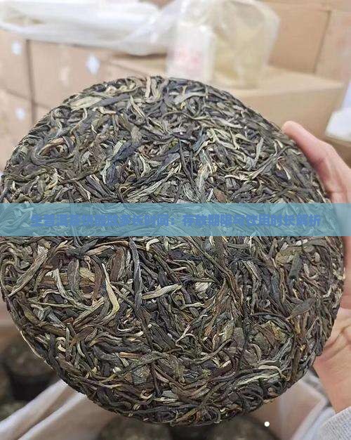 生普洱茶饼能放多长时间：存放期限与饮用时长解析