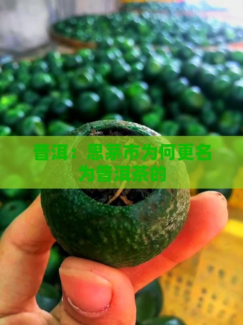 普洱：思茅市为何更名为普洱茶的