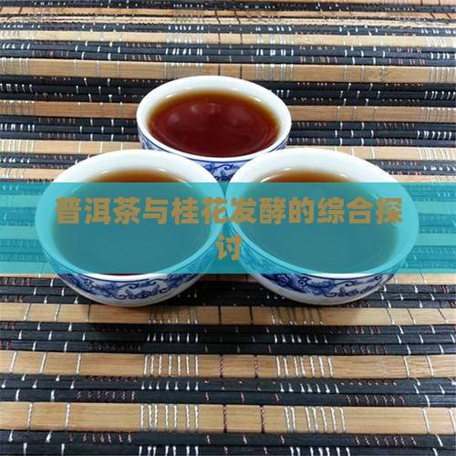 普洱茶与桂花发酵的综合探讨