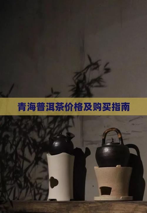 青海普洱茶价格及购买指南