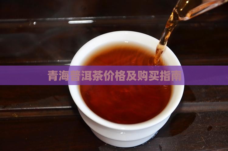 青海普洱茶价格及购买指南