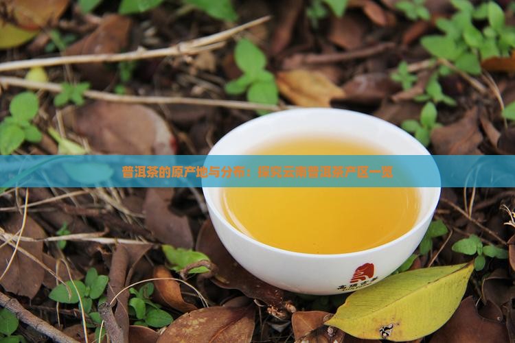 普洱茶的原产地与分布：探究云南普洱茶产区一览