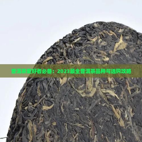普洱茶爱好者必备：2023最全普洱茶品种与选购攻略