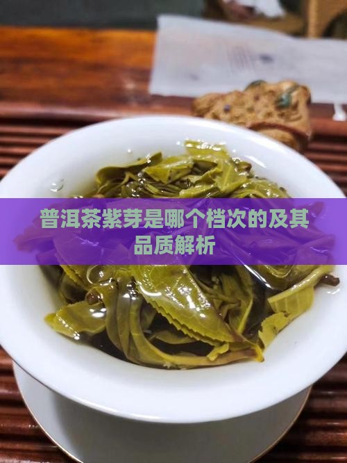 普洱茶紫芽是哪个档次的及其品质解析