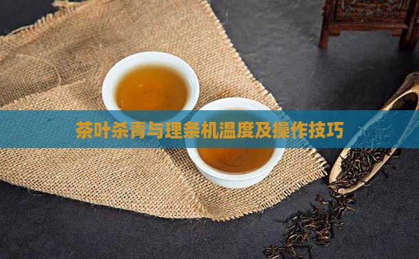 茶叶杀青与理条机温度及操作技巧