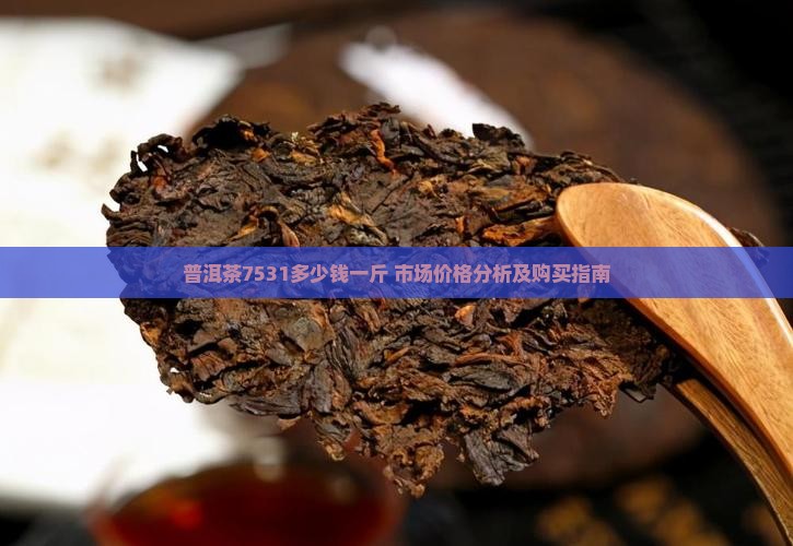 普洱茶7531多少钱一斤 市场价格分析及购买指南