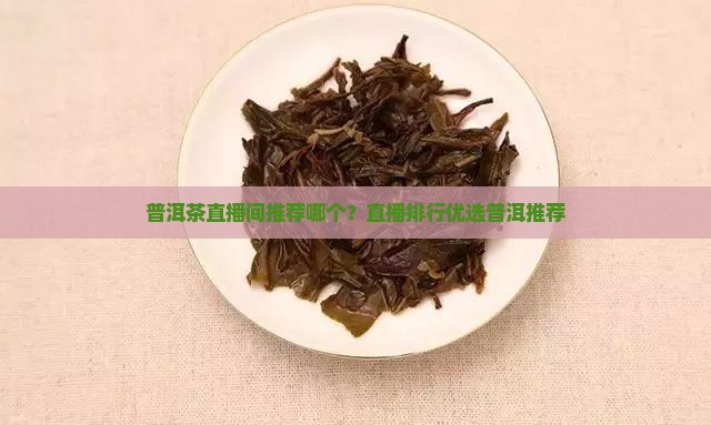 普洱茶直播间推荐哪个？直播排行优选普洱推荐