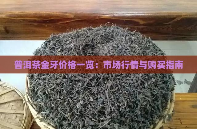普洱茶金牙价格一览：市场行情与购买指南