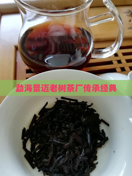 勐海景迈老树茶厂传承经典