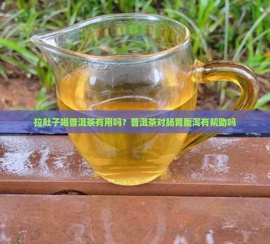 拉肚子喝普洱茶有用吗?普洱茶对肠胃腹泻有帮助吗 拉肚子喝普洱茶有用吗?普洱茶对肠胃腹泻有帮助吗