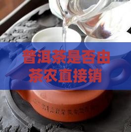 普洱茶是否由茶农直接销售及购买渠道介绍 普洱茶是否由茶农直接销售及购买渠道介绍