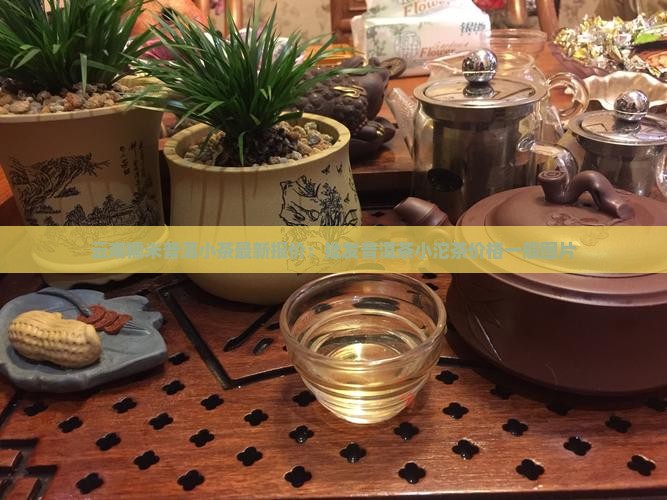 云南糯米普洱小茶最新报价:批发普洱茶小沱茶价格一般图片 云南糯米普洱小茶最新报价:批发普洱茶小沱茶价格一般图片