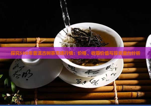 探究500年普洱古树茶市场行情：价格、收藏价值与投资潜力分析