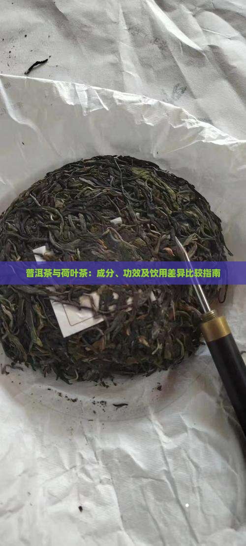 普洱茶与荷叶茶：成分、功效及饮用差异比较指南