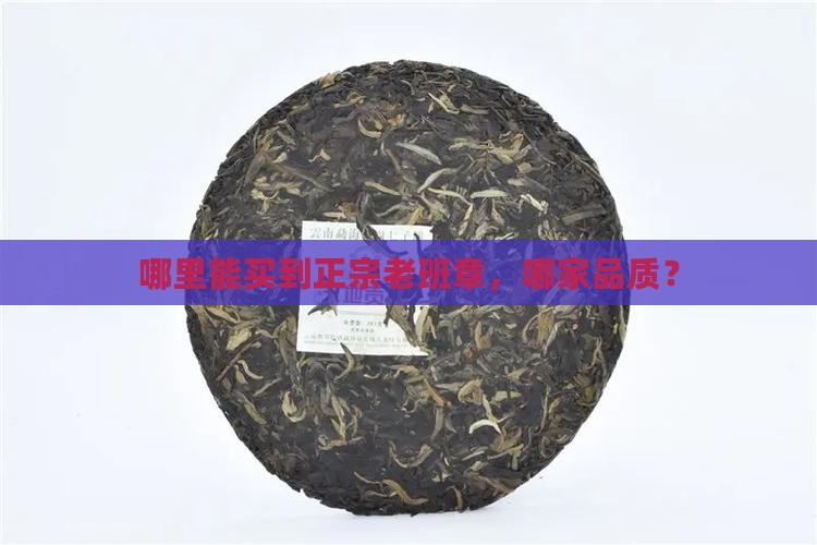 哪里能买到正宗老班章，哪家品质？