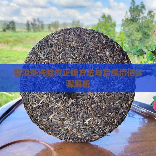普洱茶洗脸的正确方法与后续清洁步骤解析