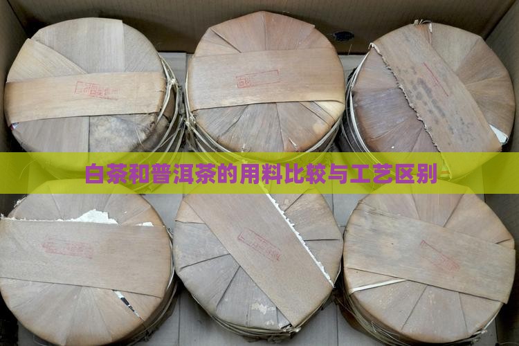 白茶和普洱茶的用料比较与工艺区别