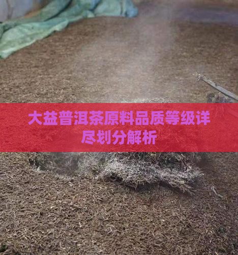 大益普洱茶原料品质等级详尽划分解析