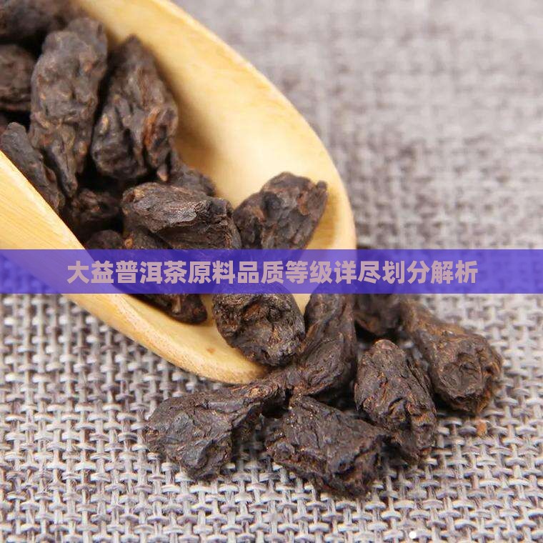 大益普洱茶原料品质等级详尽划分解析