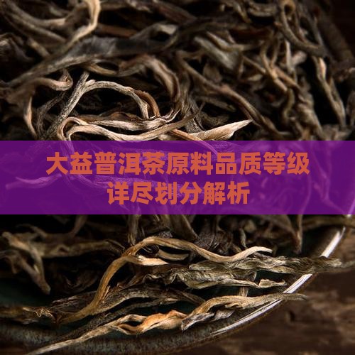 大益普洱茶原料品质等级详尽划分解析