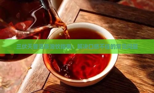 三伏天普洱茶泡饮指南：解决口感不佳的常见问题
