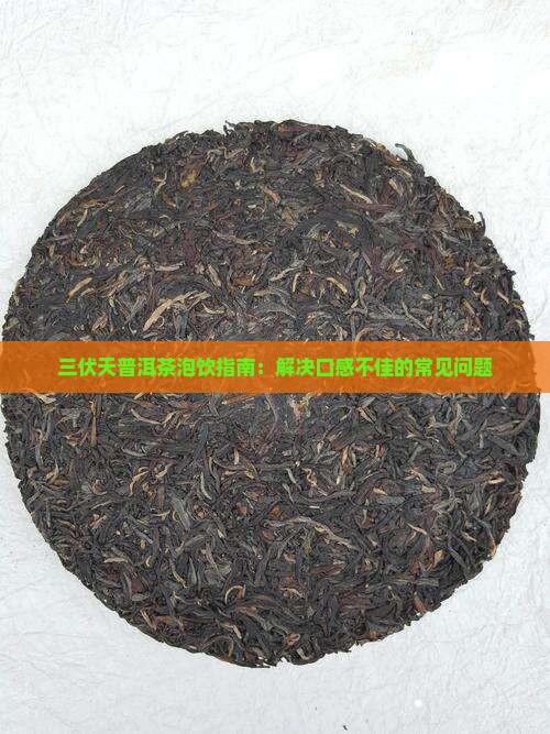 三伏天普洱茶泡饮指南：解决口感不佳的常见问题