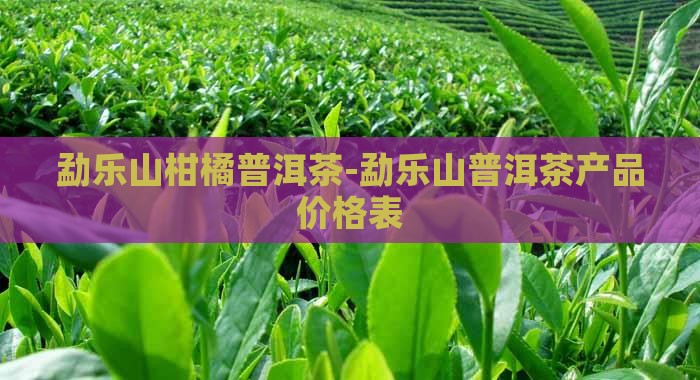 勐乐山柑橘普洱茶-勐乐山普洱茶产品价格表
