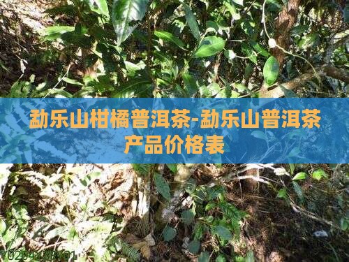 勐乐山柑橘普洱茶-勐乐山普洱茶产品价格表