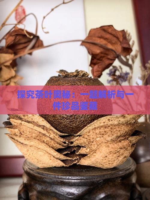 探究茶叶奥秘：一题解析与一件珍品鉴藏