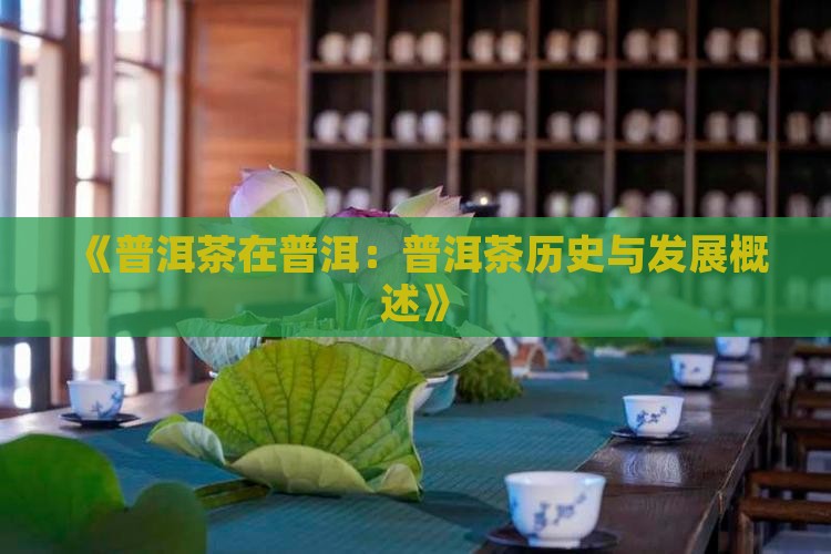 《普洱茶在普洱：普洱茶历史与发展概述》