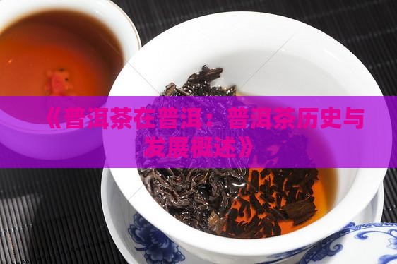 《普洱茶在普洱：普洱茶历史与发展概述》