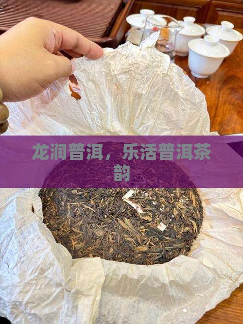 龙润普洱，乐活普洱茶韵