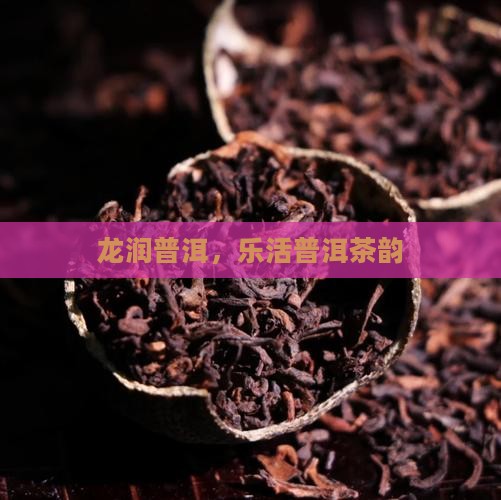 龙润普洱，乐活普洱茶韵