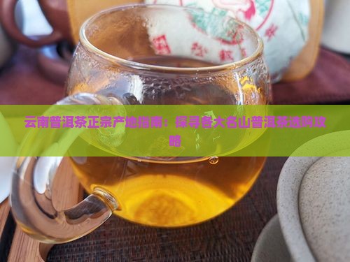 云南普洱茶正宗产地指南：探寻各大名山普洱茶选购攻略