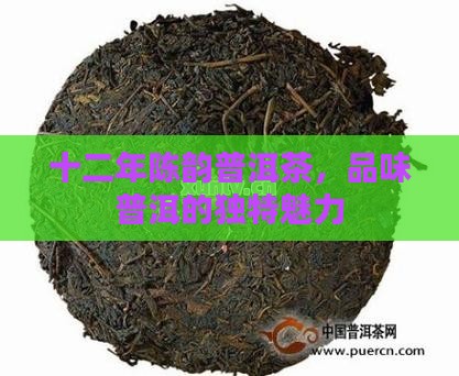 十二年陈韵普洱茶，品味普洱的独特魅力