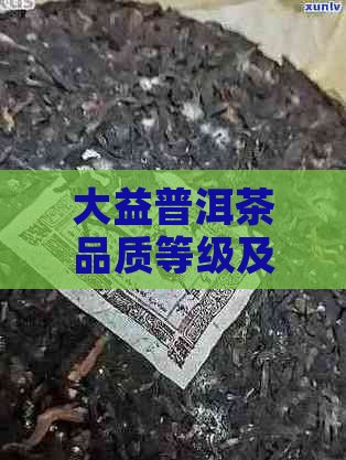 大益普洱茶品质等级及选购指南