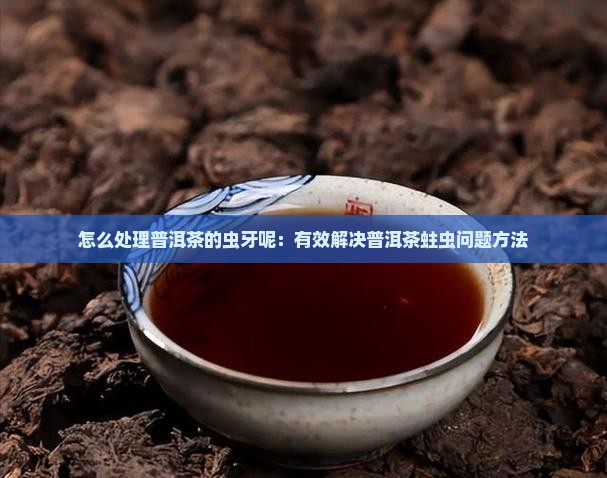怎么处理普洱茶的虫牙呢：有效解决普洱茶蛀虫问题方法