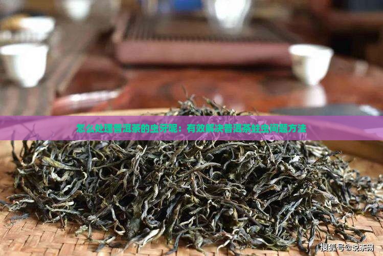 怎么处理普洱茶的虫牙呢：有效解决普洱茶蛀虫问题方法