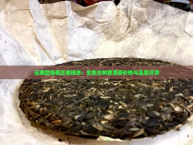 云南勐海茶庄老班章：生态古树普洱茶价格与品质评测
