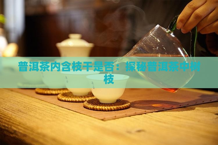 普洱茶内含枝干是否：探秘普洱茶中树枝