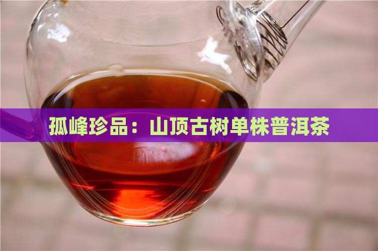 孤峰珍品：山顶古树单株普洱茶