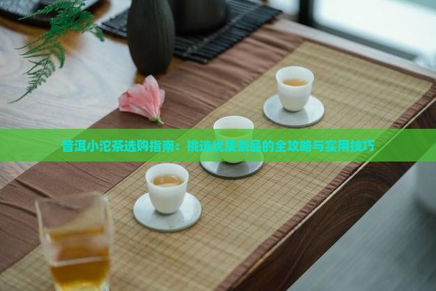 普洱小沱茶选购指南：挑选优质茶品的全攻略与实用技巧