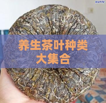 养生茶叶种类大集合