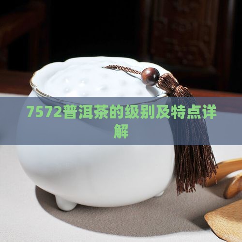 7572普洱茶的级别及特点详解