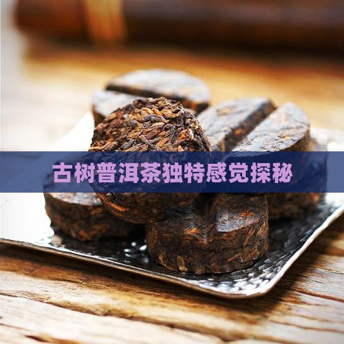 古树普洱茶独特感觉探秘