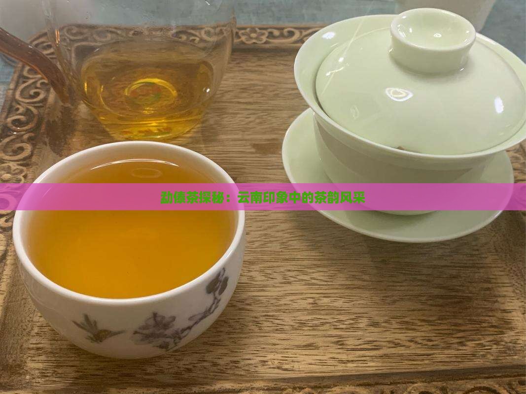 勐傣茶探秘：云南印象中的茶韵风采