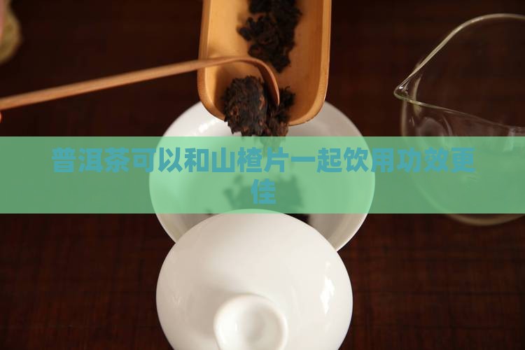 普洱茶可以和山楂片一起饮用功效更佳